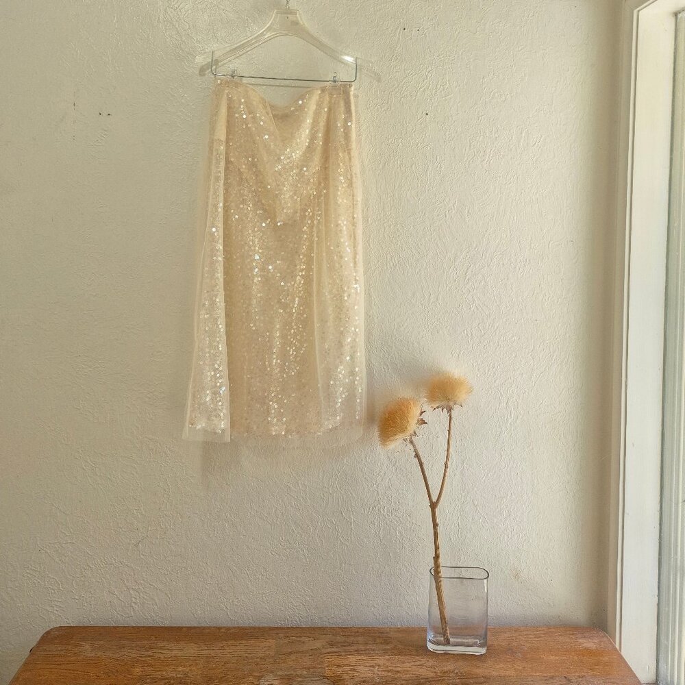NWT Jason Wu Sheer Tulle Sequined Midi Skirt Concert Fairycore Light Whimsigoth